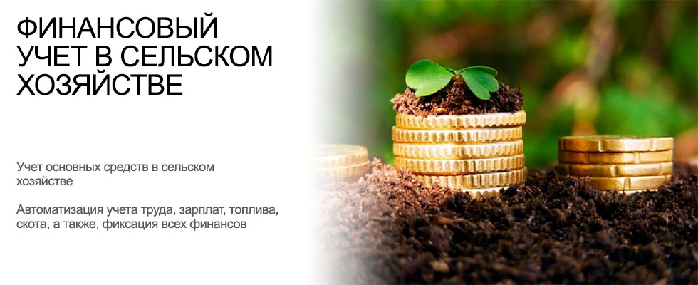 Украина: учет финансовых результатов, рабочего времени в сельском хозяйстве. Отчетность: учет топлива, скота
