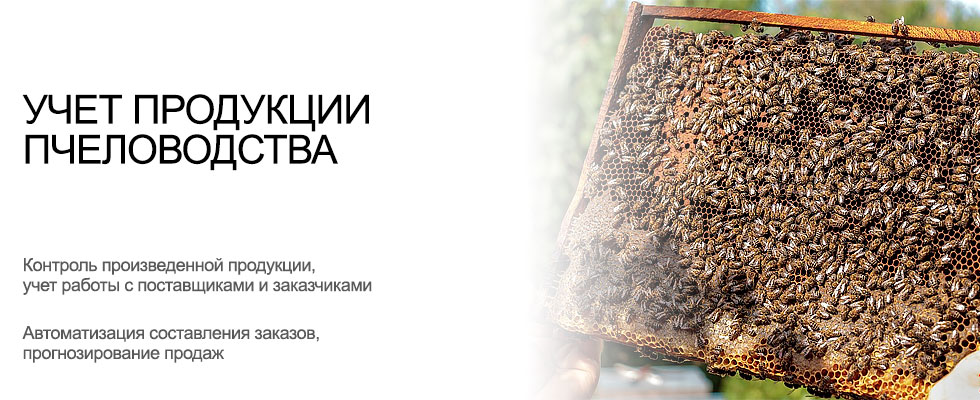 Организация учета продукции пчеловодства