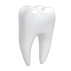 Formulă dentară