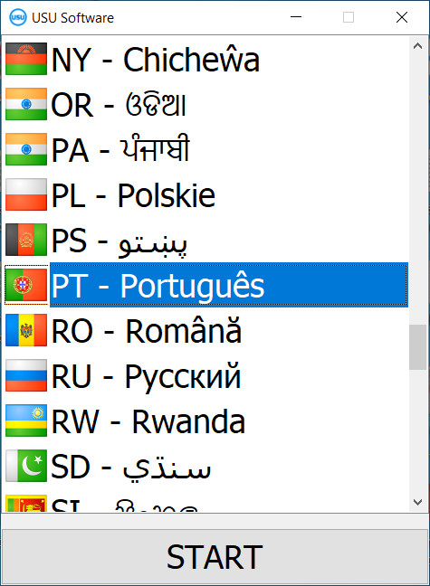 Ao iniciar o programa, você pode selecionar o idioma.
