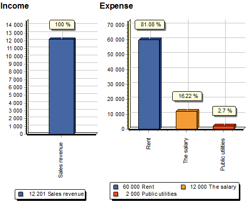 چارٹ کے ساتھ اخراجات کی شے کے حساب سے مالیاتی تجزیہ