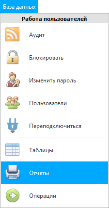 Меню. Доступ к отчетам